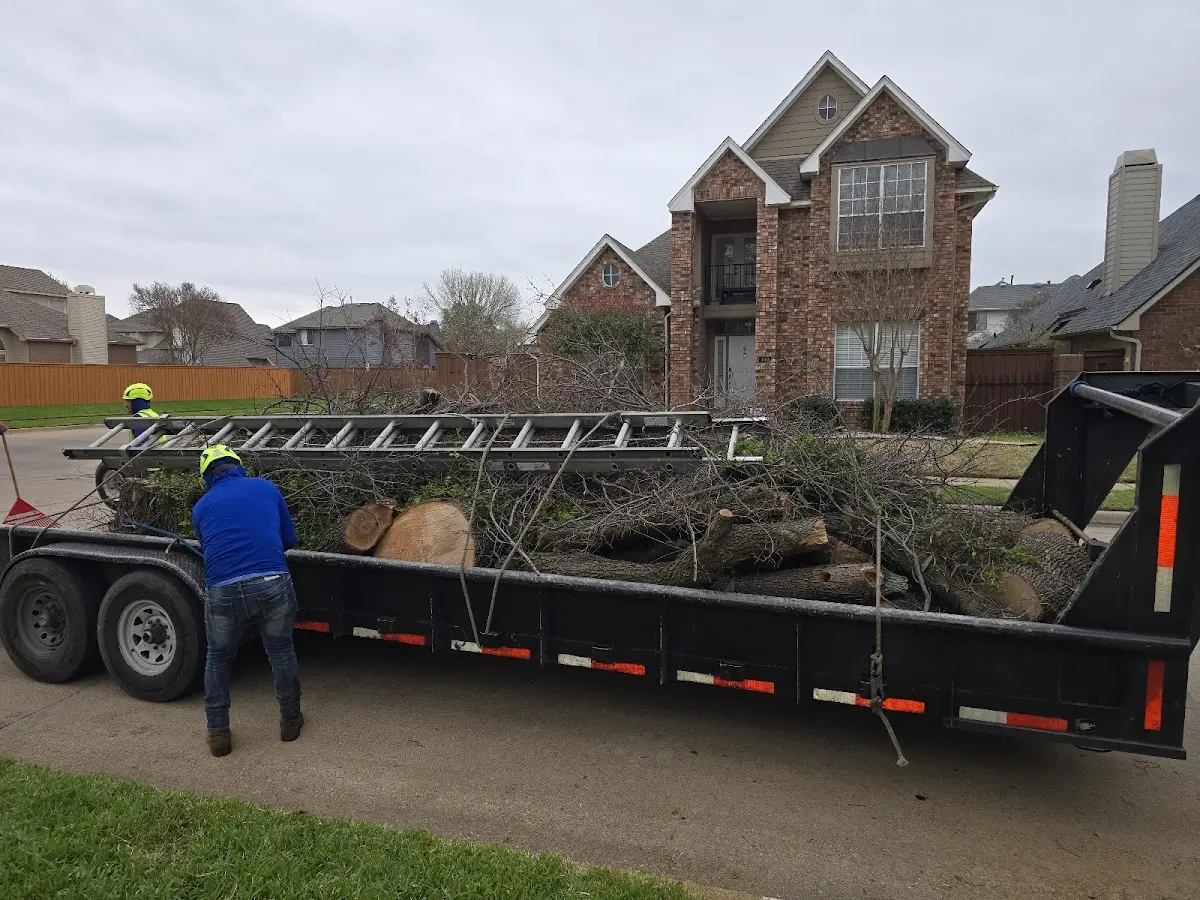 Expert Tree Fertilization with proper safety equipment in Keeseville